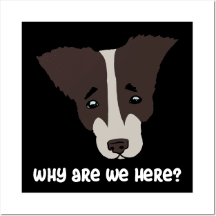 why are we here?. sad dog Posters and Art